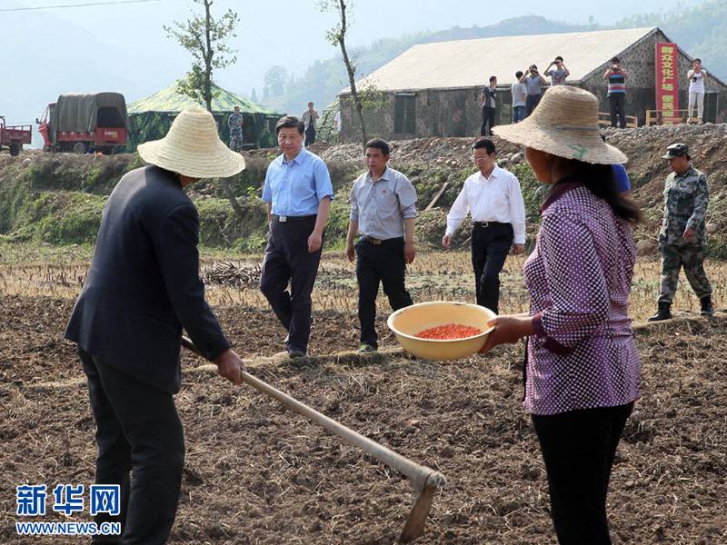  5月21日至23日，中共中央總書記、國家主席、中央軍委主席習近平到四川蘆山地震災區考察，看望慰問受災群眾。　　這是5月21日，習近平在蘆山縣龍門鄉青龍場村的農田察看玉米種植情況，詢問災后恢復生產的安排。 　　新華社記者蘭紅光攝 