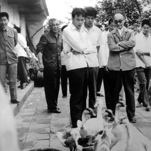 王岐山同志照片集            1982年5月，王岐山（左二）陪同中央農研室領導在福建莆田調研，為起草中央一號文件做准備。
