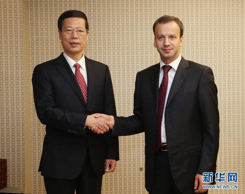 6月20日，中國國務院副總理張高麗在聖彼得堡會見俄政府副總理兼中俄能源合作委員會俄方主席德沃爾科維奇。 新華社記者 劉衛兵 攝