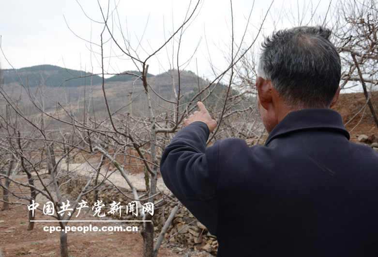 村民張太元指給記者，遠處那座山就是老支書朱彥夫深夜爬上去考察村貌的山頭。也就是在那座山上，朱彥夫在上山下山的路上，不知摔了多少次，不知受了多少傷。人民網記者高雷 攝