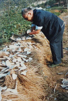 朱彥夫在勞動——晒地瓜干。（資料圖）