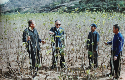 蠶繭生產已成為張家泉村經濟經濟收入的主要組成部分。（資料圖）