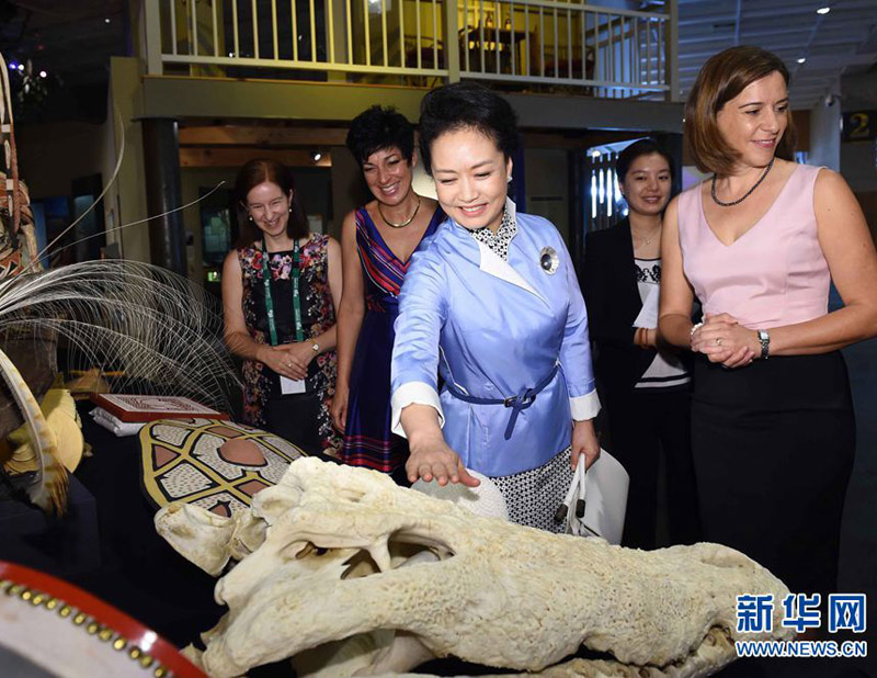 11月16日，中國國家主席習近平夫人彭麗媛在布裡斯班參觀昆士蘭州博物館。 新華社記者 饒愛民 攝