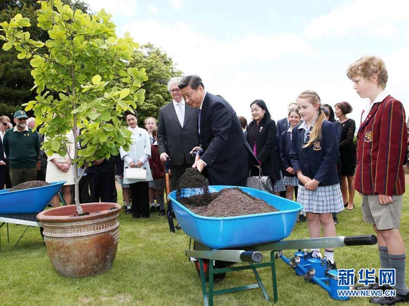 11月18日，國家主席習近平在澳大利亞塔斯馬尼亞州與朗塞斯頓市斯科奇－歐克伯恩小學的小學生共同植樹。 新華社記者 姚大偉 攝