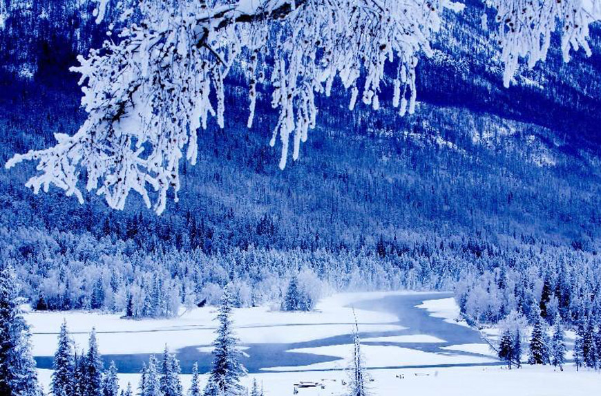 阿勒泰地区"最美雪乡"靓照国内数十家旅游网和旅行社推出中国十大最美雪乡，新疆阿勒泰地区因为雪资源丰富被称为“人类滑雪最早起源地”有幸入选中国十大最美雪乡。