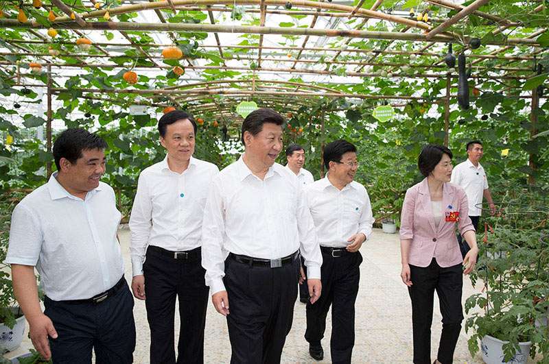 这是16日下午，习近平在遵义县枫香镇花茂村视察现代高效农业智能温控大棚。新华社记者 黄敬文 摄