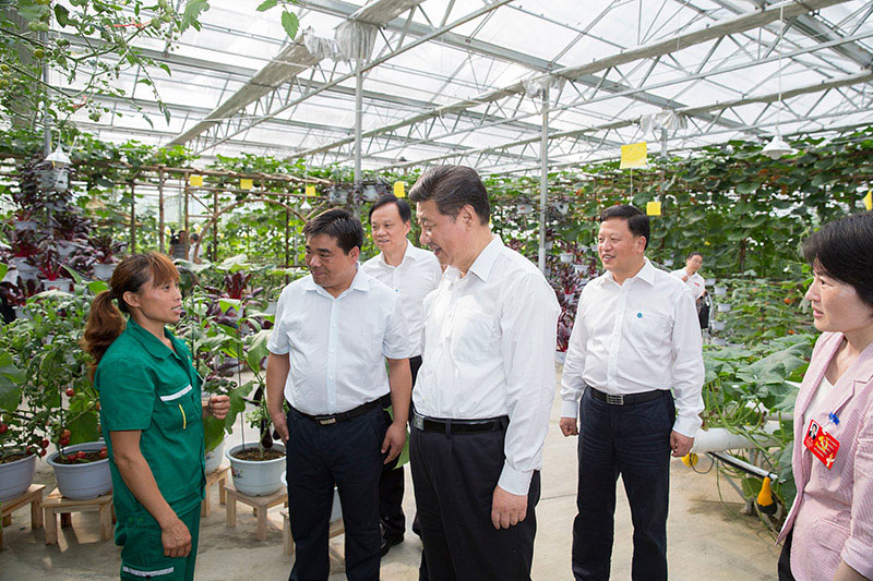 这是16日下午，习近平在遵义县枫香镇花茂村的现代高效农业智能温控大棚，向正在劳动的村民了解增收致富情况。新华社记者 黄敬文 摄