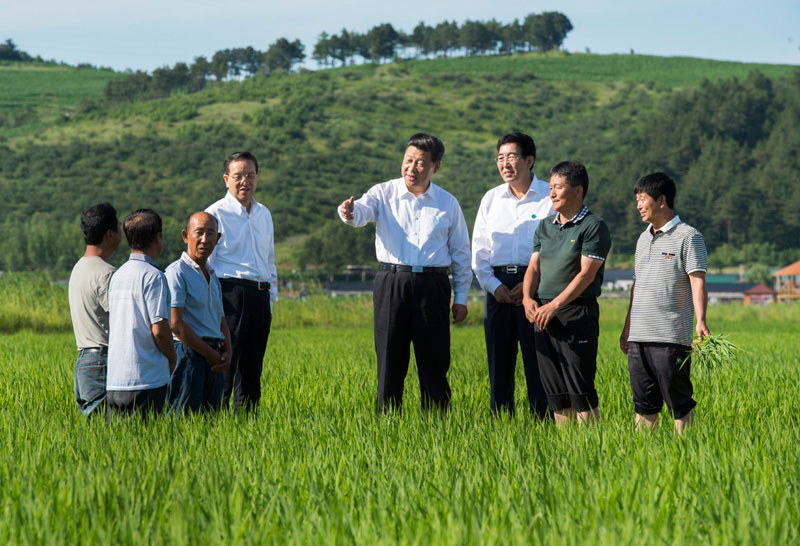 这是7月16日，习近平在延边州和龙市东城镇光东村稻田同村民和农技人员交流。新华社记者 谢环驰 摄