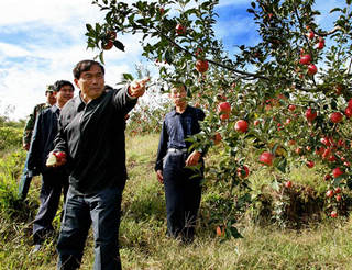 在田地里和老百姓一起分析問題找思路