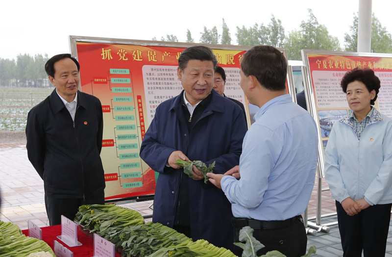 這是7月18日下午，習近平在固原市原州區彭堡鎮姚磨村了解冷涼蔬菜種植銷售情況。新華社記者鞠鵬攝