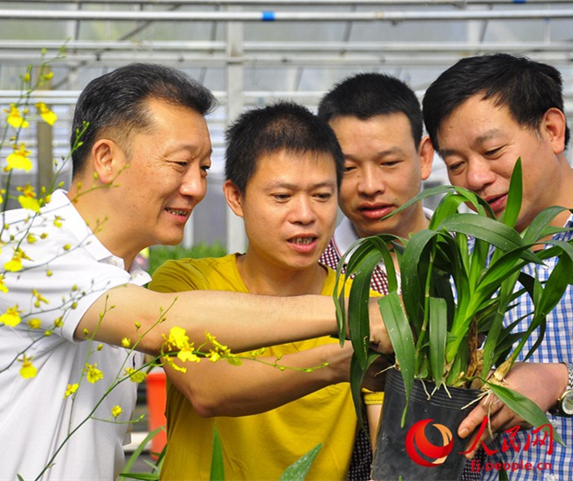 廖俊波（左一）带领农技人员帮助花农解决技术难题。吴隆重摄