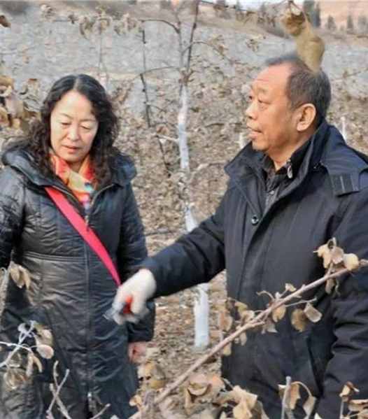 李保国和爱人郭素萍正在为果树剪枝。