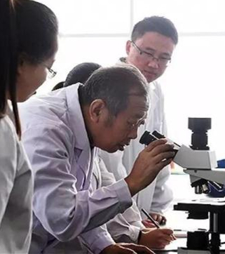 在河北绿岭果业有限公司实验室，李保国正在和青年科技人员一起攻关课题。