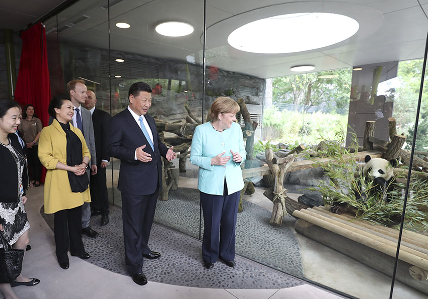7月5日，國家主席習近平同德國總理默克爾共同出席柏林動物園大熊貓館開館儀式。這是習近平和夫人彭麗媛同默克爾在大熊貓館。 新華社記者馬佔成 攝