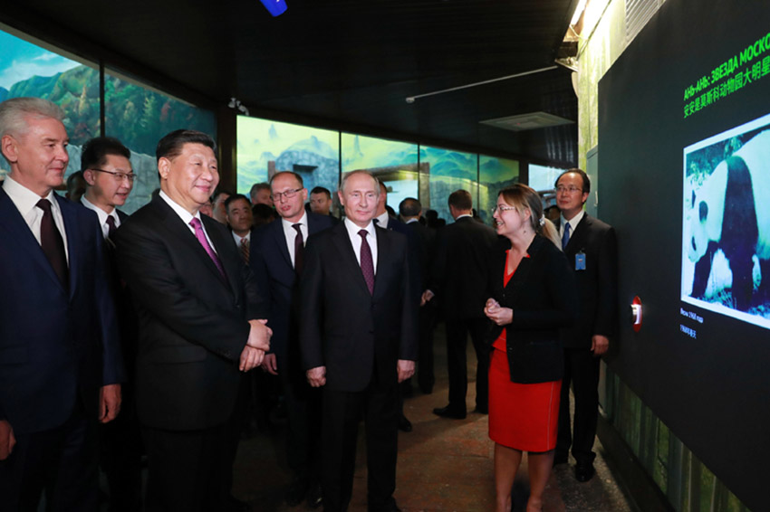 6月5日，國家主席習近平在莫斯科克裡姆林宮同俄羅斯總統普京會談。這是會談后，兩國元首共同出席莫斯科動物園熊貓館開館儀式。 新華社記者 丁林 攝