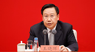 中央宣傳部分管日常工作的副部長王曉暉