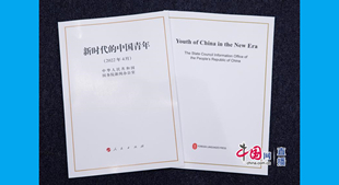 《新时代的中国青年》白皮书