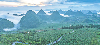 西畴：石漠荒山到绿水青山的美丽蝶变