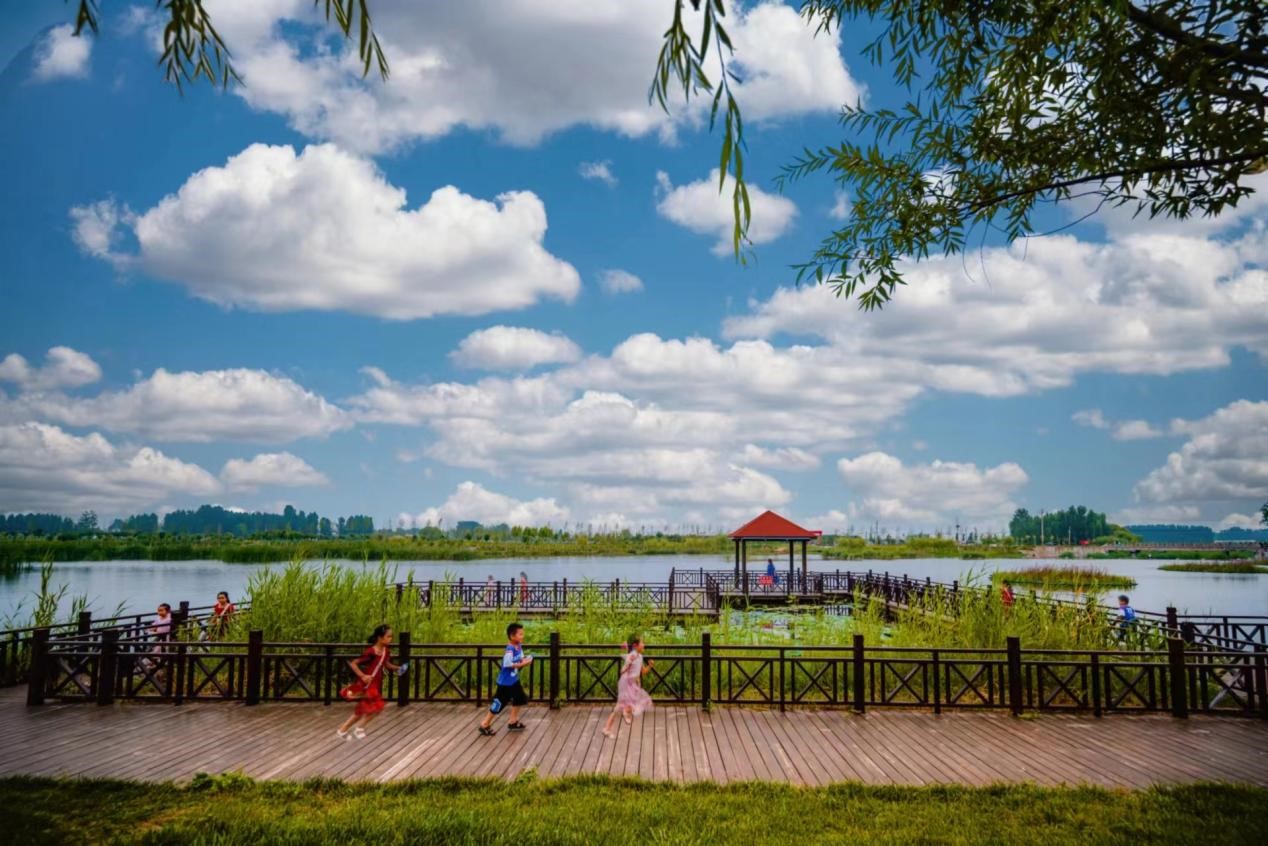 棗庄市薛城區周營鎮王樓村的白樓灣濕地公園。受訪者供圖