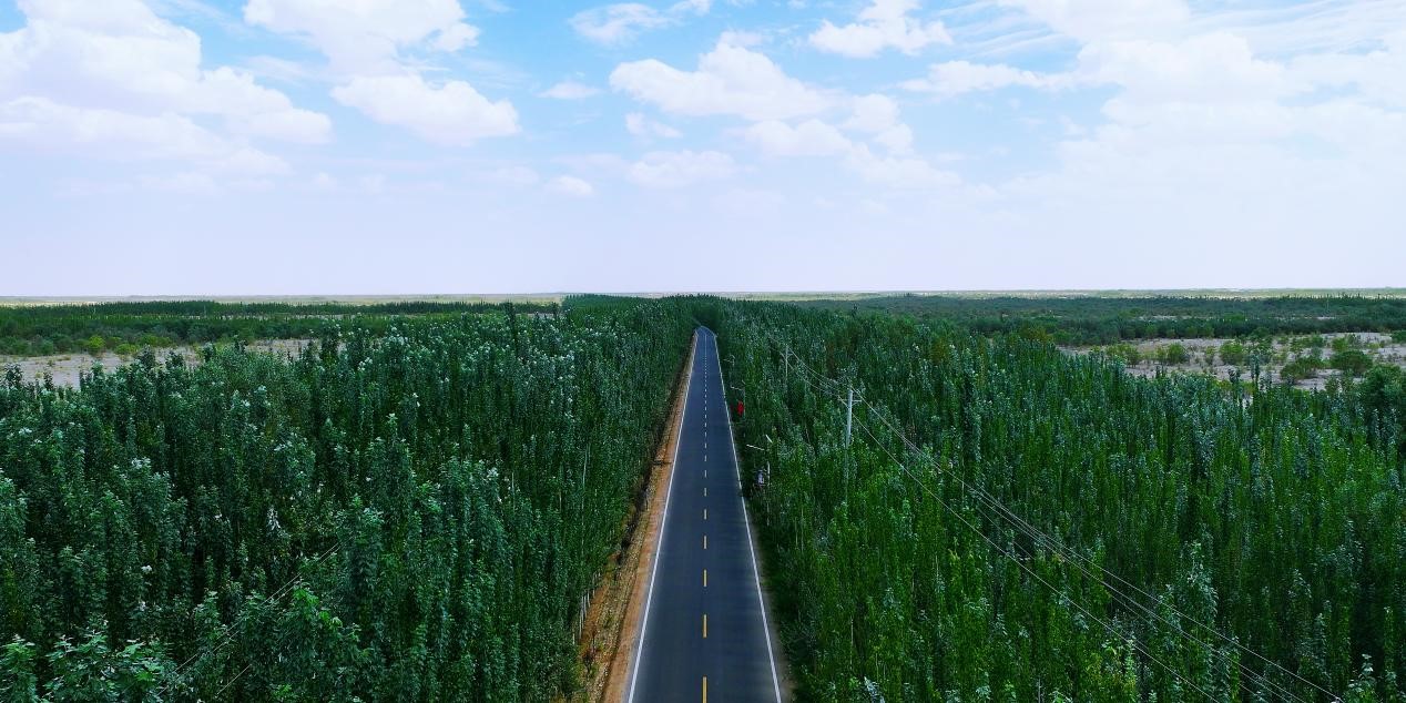 麦盖提县百万亩防风固沙生态林工程：在沙漠中筑起了一道绿色屏障
