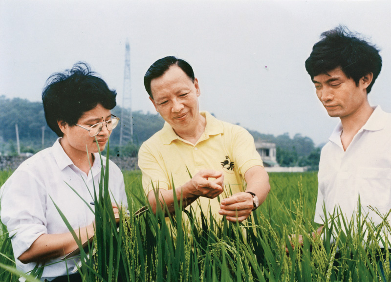 盧永根（中）在水稻試驗地指導博士研究生（資料照片）。新華社發(fā)（華南農(nóng)業(yè)大學供圖）