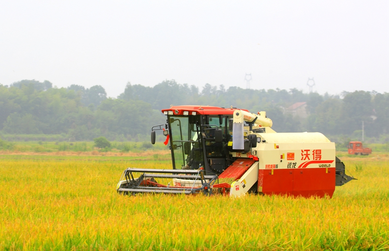 改革為人民丨良田良種良機(jī)良法 習(xí)近平心系農(nóng)業(yè)現(xiàn)代化