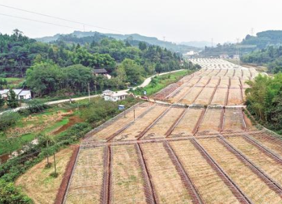 山沟里的甜蜜基地