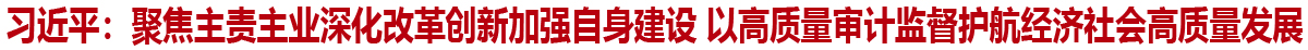 习近平：聚焦主责主业深化改革创新加强自身建设 以高质量审计监督护航经济社会高质量发展