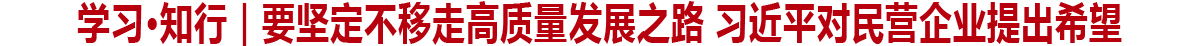 要坚定不移走高质量发展之路 习近平对民营企业提出希望