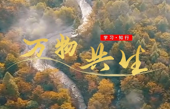 微视频：万物共生