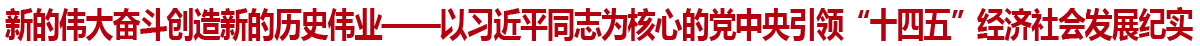 新的伟大奋斗创造新的历史伟业——以习近平同志为核心的党中央引领“十四五”经济社会发展纪实