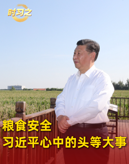 粮食安全：习近平心中的头等大事