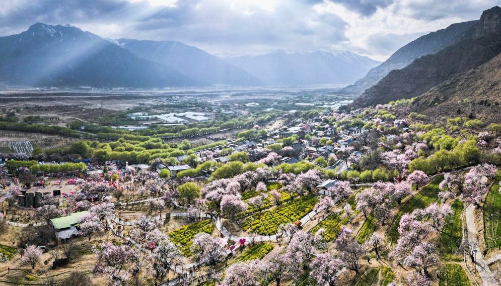 学习·知行丨总书记牵挂的“桃花源”开出“致富花”嘎拉村如今的好日子，正是西藏自治区成立60周年来经济社会发展成就的一个生动缩影。“看着北斗星走不迷路，跟着共产党走会幸福。”这是嘎拉村村民们的心声，也是新时代西藏这片雪域高原的发展密码。