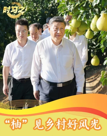 時習之丨“柚”見鄉村好風光