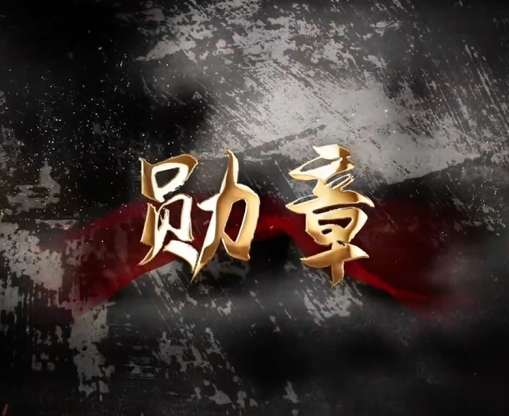 跟著總書記學黨史·勛章