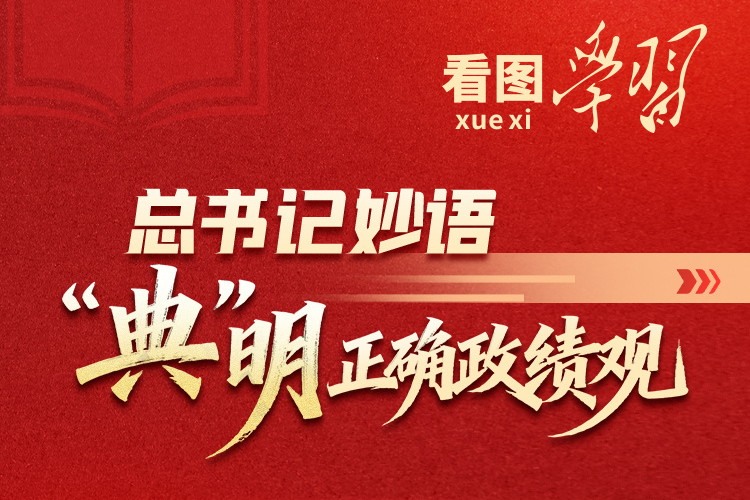 看图学习丨总书记妙语“典”明正确政绩观