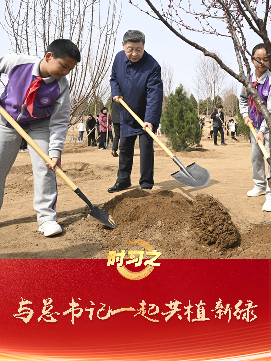 時習之丨與總書記一起共植新綠 