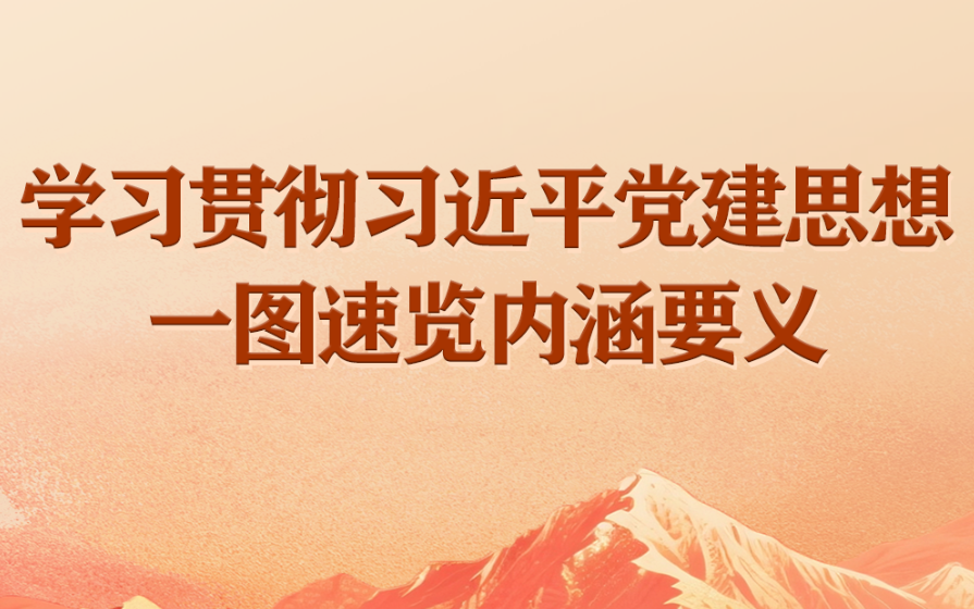 学习贯彻习近平党建思想一图速览内涵要义