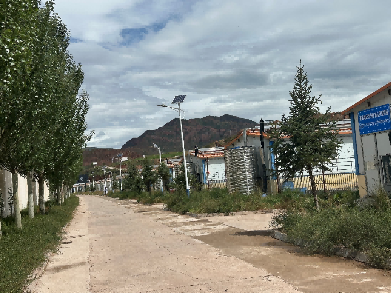 阿旺绵羊繁育基地。人民网记者 益西康珠摄