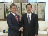 張高麗與韓國總統共同出席中韓商務論壇