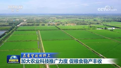 ����ϣ������Ұ�ϡ��Ӵ�ũҵ�Ƽ��ƹ����� ����ʳ�Ȳ�����