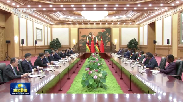 習近平會見津巴布韋總統