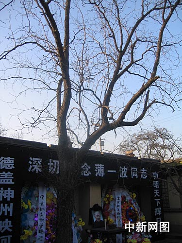 薄一波故居:农家小院清风气和枣树百年岁长一