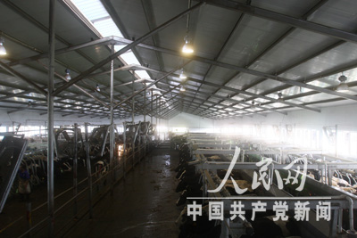 组图:济宁汶上蒙牛现代牧场目击牛奶生产的第