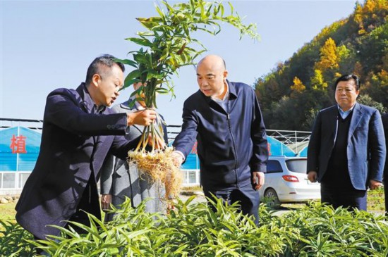 11月1日至2日,省委书记刘国中在汉中市调研脱贫攻坚工作.