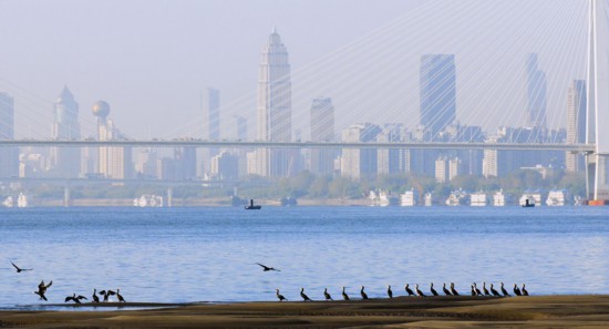 湖北：生态优先绿色发展 坚实挺起“长江之腰”