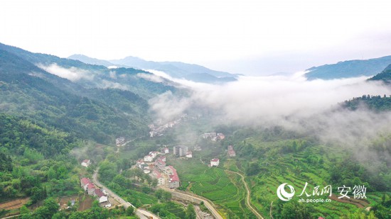 雨后的金寨縣大灣村，雲霧環繞宛如仙境。人民網 張俊攝