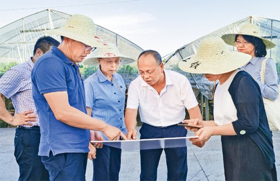 图为2022年7月，徐利民（右三）和相关专家实地察看上山遗址博物馆选址区块。 张国萍/摄