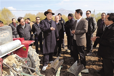 这是洛桑江村在扎囊县扎塘镇羊嘎居委会了解优质青稞推广种植情况.