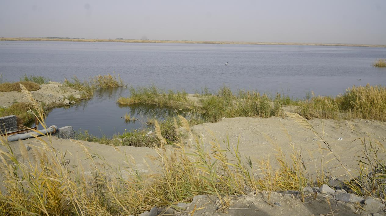 利用再生水开展荒漠化治理。人民网 石曲次旺摄